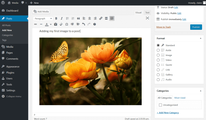 An image inserted in the WordPress Classic Editor